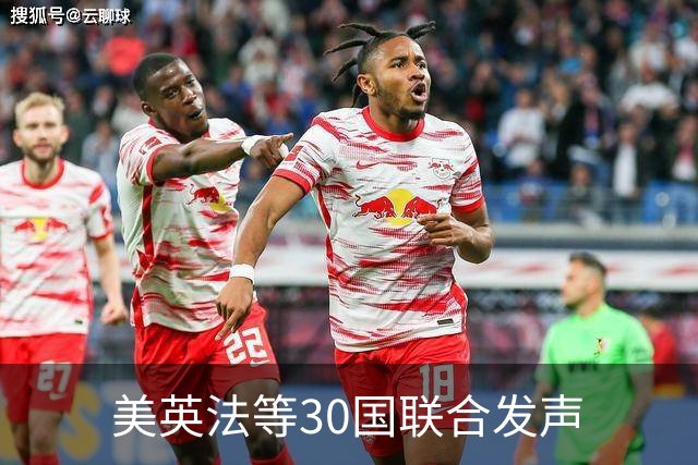 美英法等30国联合发声