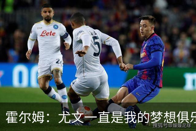 霍尔姆：尤文一直是我的梦想俱乐部，因伤离开我感到非常遗憾